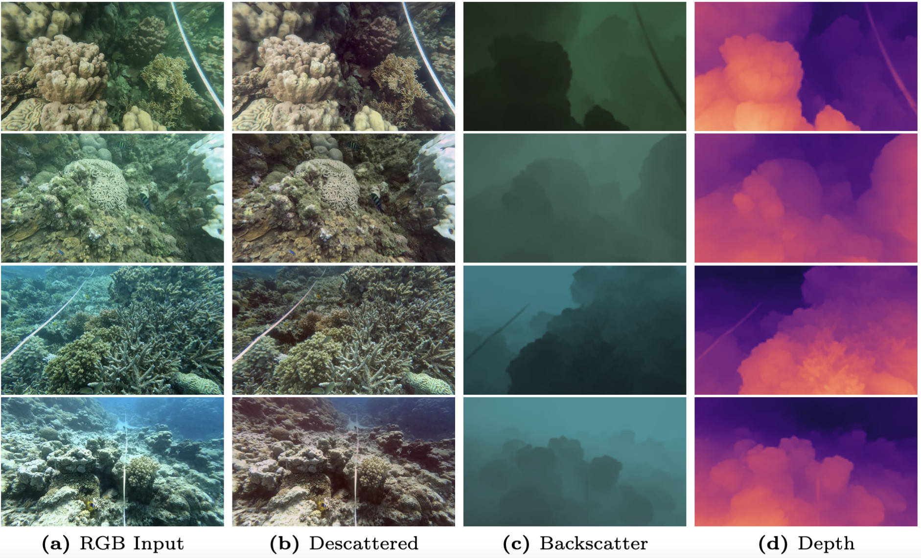 Examples from BackscatterNet