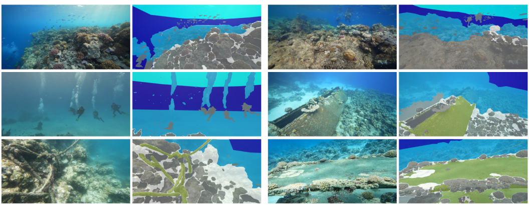 New auxiliary classes in CoralscapesV2