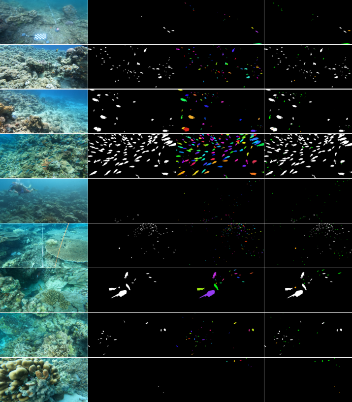 Fish annotation difference between V1 and V2