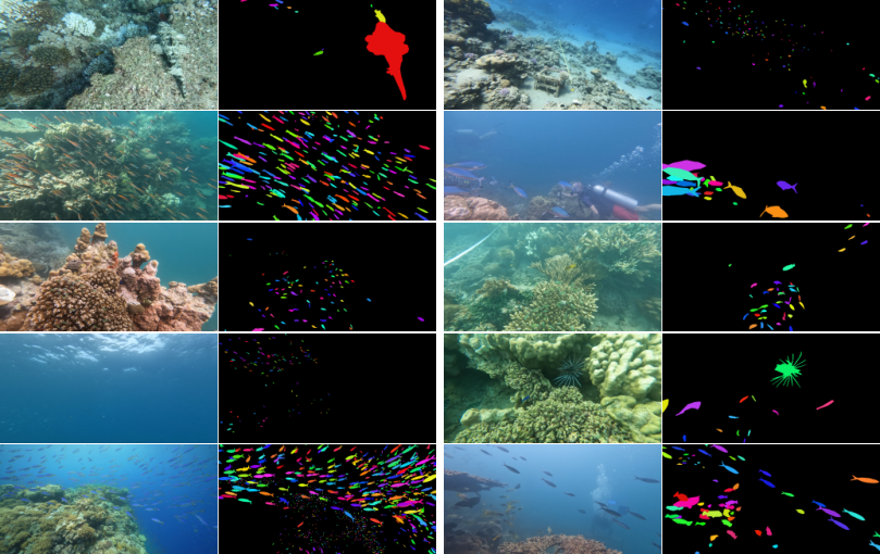 Fish instance masks in CoralscapesV2