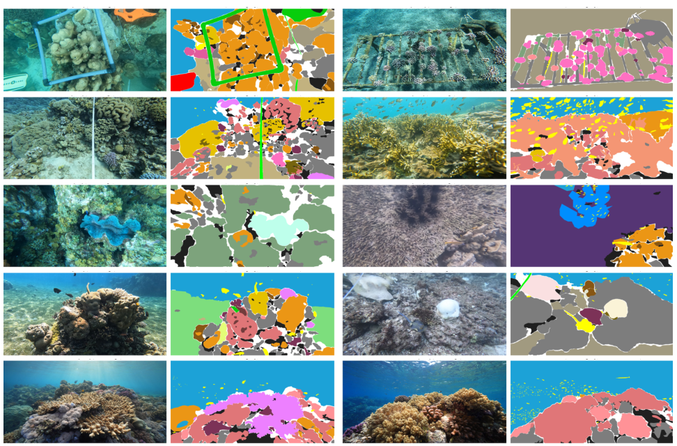 New annotated frames in CoralscapesV2